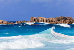 塞舌爾公司逾期年審有什么后果？