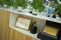 巴西注冊(cè)公司哪種公司類型適合外資企業(yè)