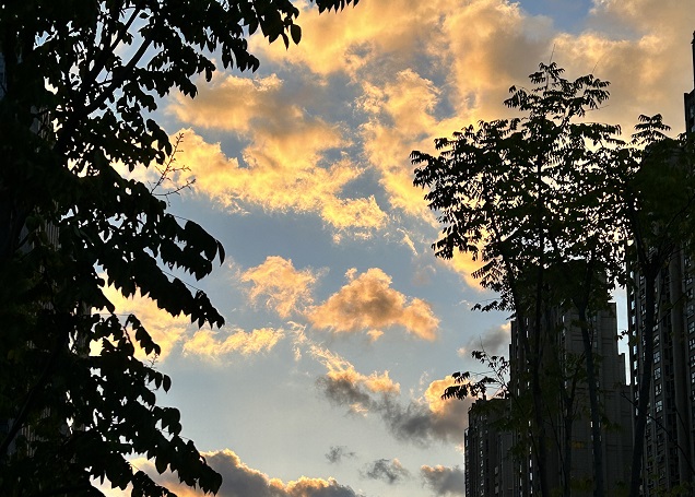 2025上半年，中國企業(yè)出海刷新全球副本：更猛、更強、更聰明