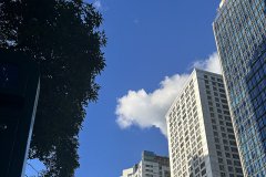 谷歌支付登陸沙特，支付寶于2026年接入，企業(yè)出海中東市場開辟新的合作機遇